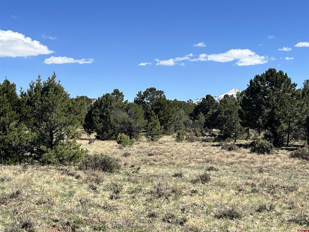 Tbd Canyon Drive Ridgway CO 81432
