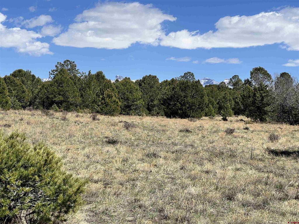 Tbd Canyon Drive Ridgway CO 81432