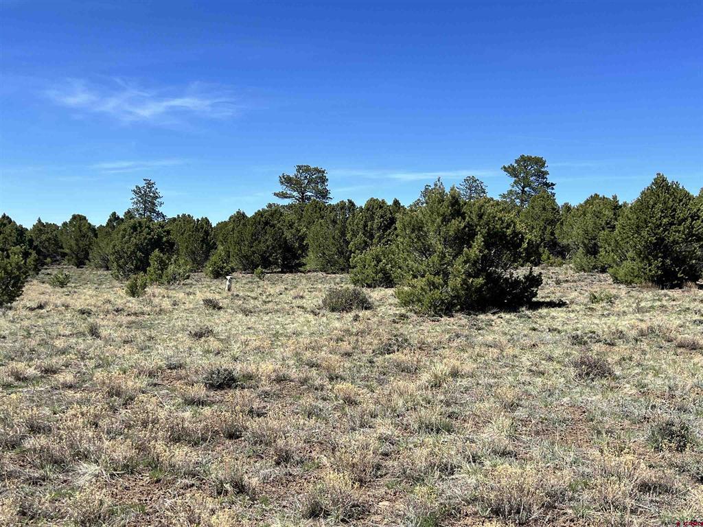 Tbd Canyon Drive Ridgway CO 81432