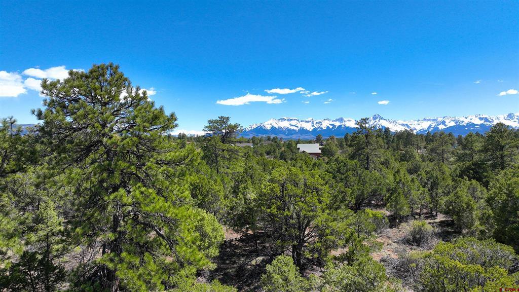 Tbd Canyon Drive Ridgway CO 81432