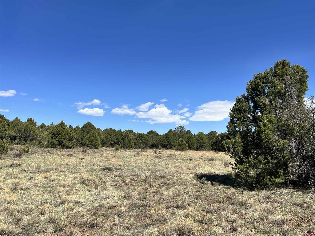 Tbd Canyon Drive Ridgway CO 81432