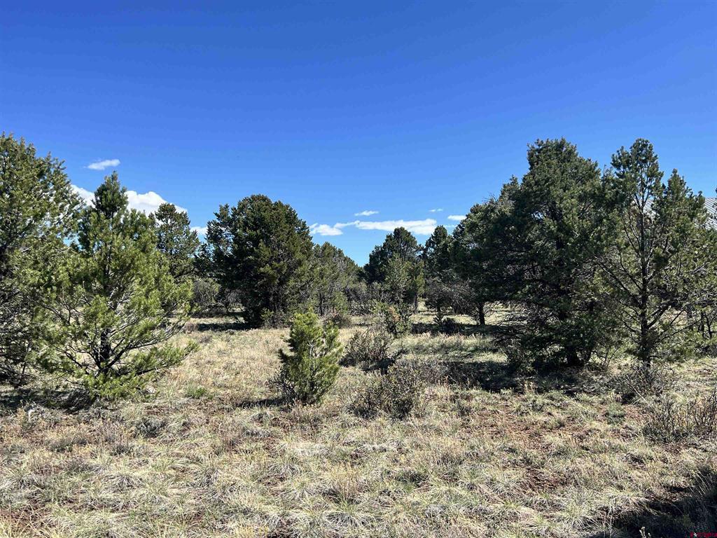 Tbd Canyon Drive Ridgway CO 81432