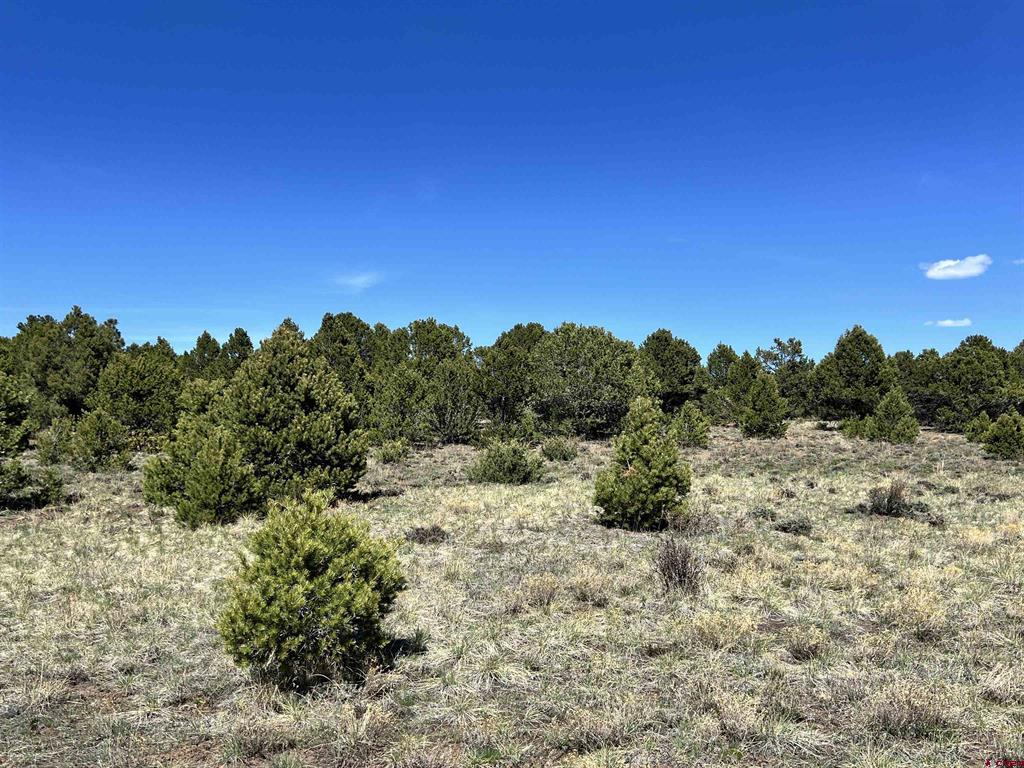 Tbd Canyon Drive Ridgway CO 81432