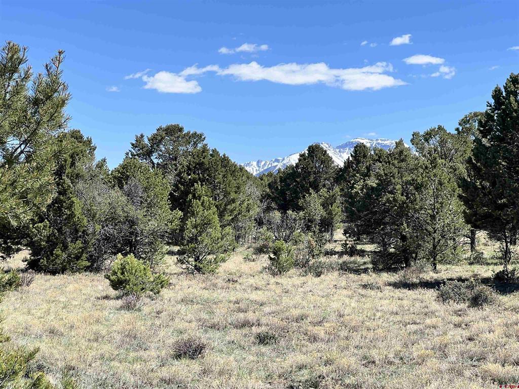 Tbd Canyon Drive Ridgway CO 81432