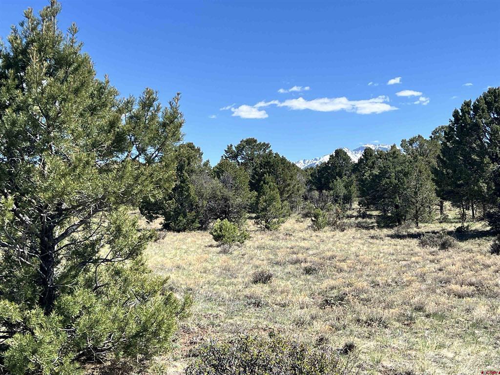 Tbd Canyon Drive Ridgway CO 81432
