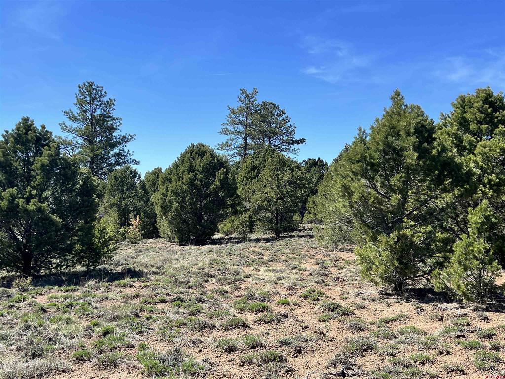 Tbd Canyon Drive Ridgway CO 81432