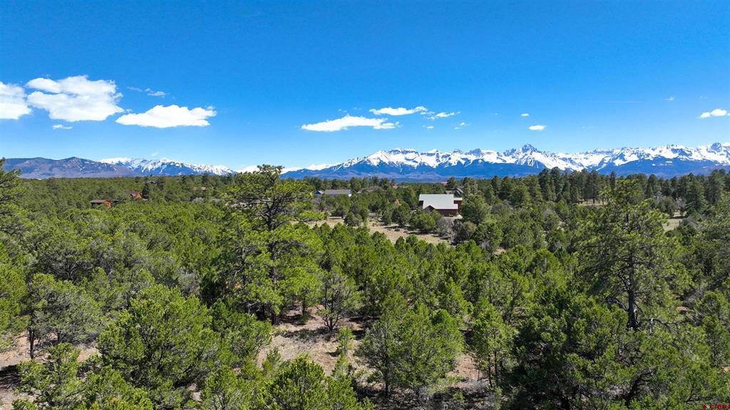 Tbd Canyon Drive Ridgway CO 81432