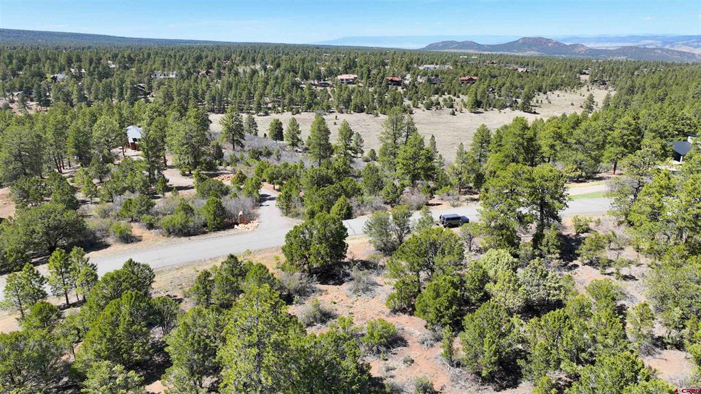Tbd Canyon Drive Ridgway CO 81432