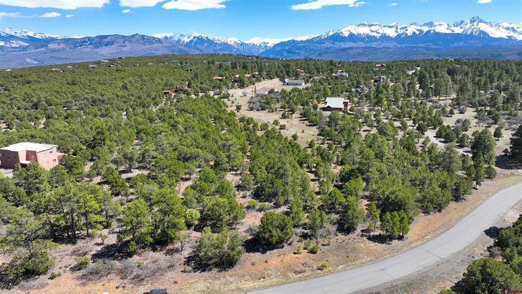 Tbd Canyon Drive Ridgway CO 81432