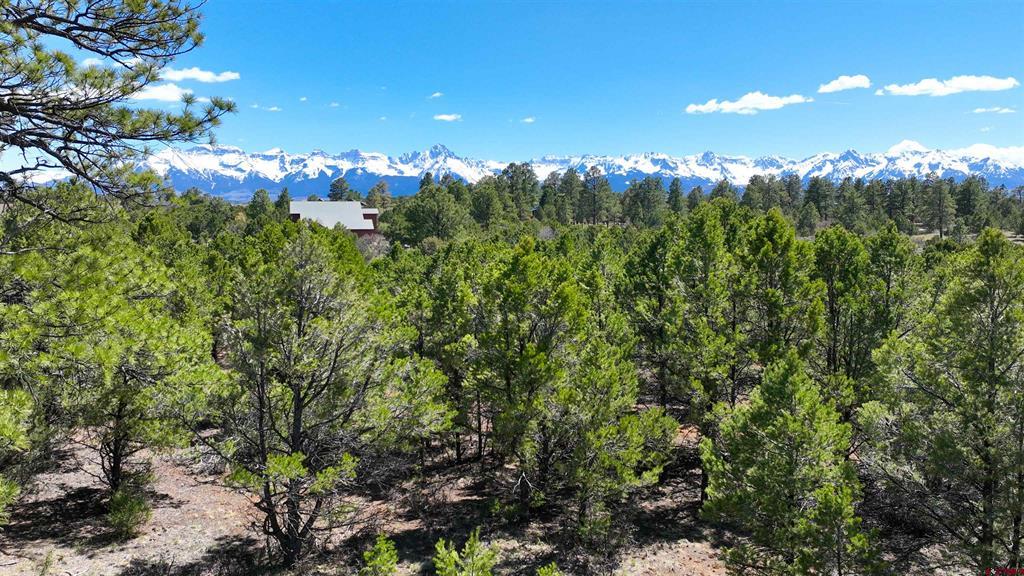 Tbd Canyon Drive Ridgway CO 81432