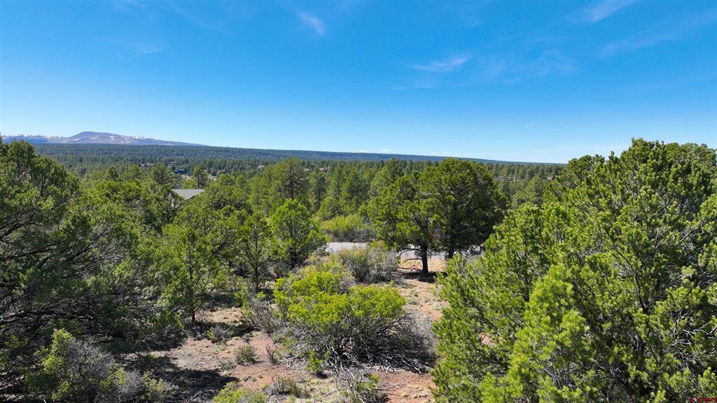 Tbd Canyon Drive Ridgway CO 81432