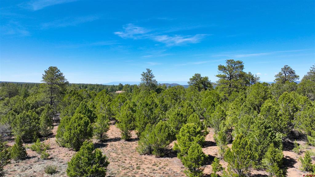 Tbd Canyon Drive Ridgway CO 81432