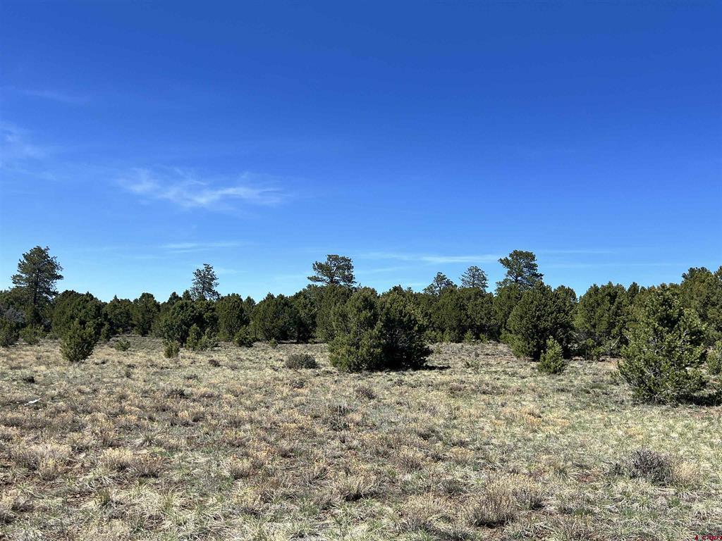 Tbd Canyon Drive Ridgway CO 81432