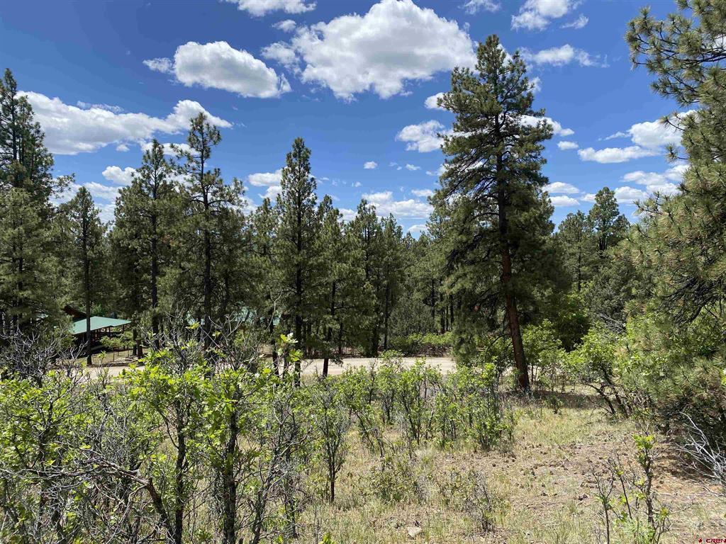 Pagosa Springs CO, 124 Granada