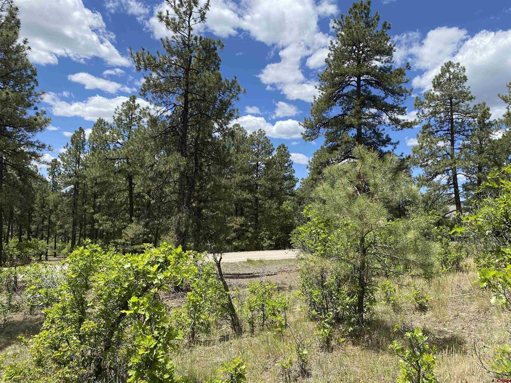 124 Granada Drive Pagosa Springs CO 81147