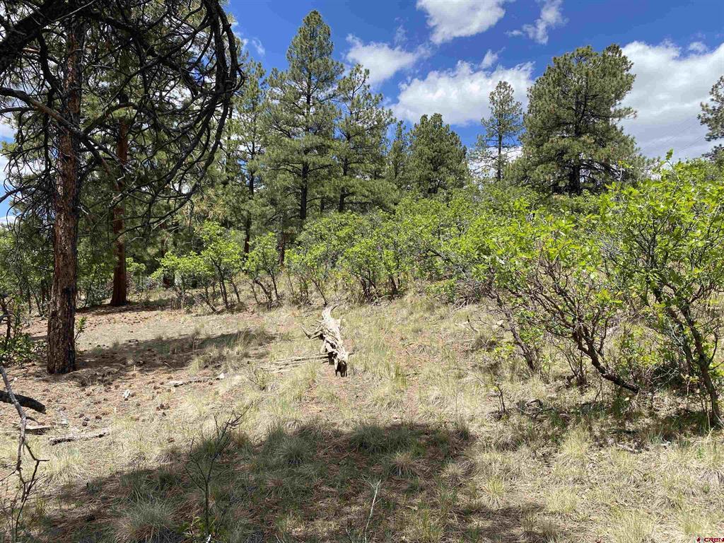 124 Granada Drive Pagosa Springs CO 81147