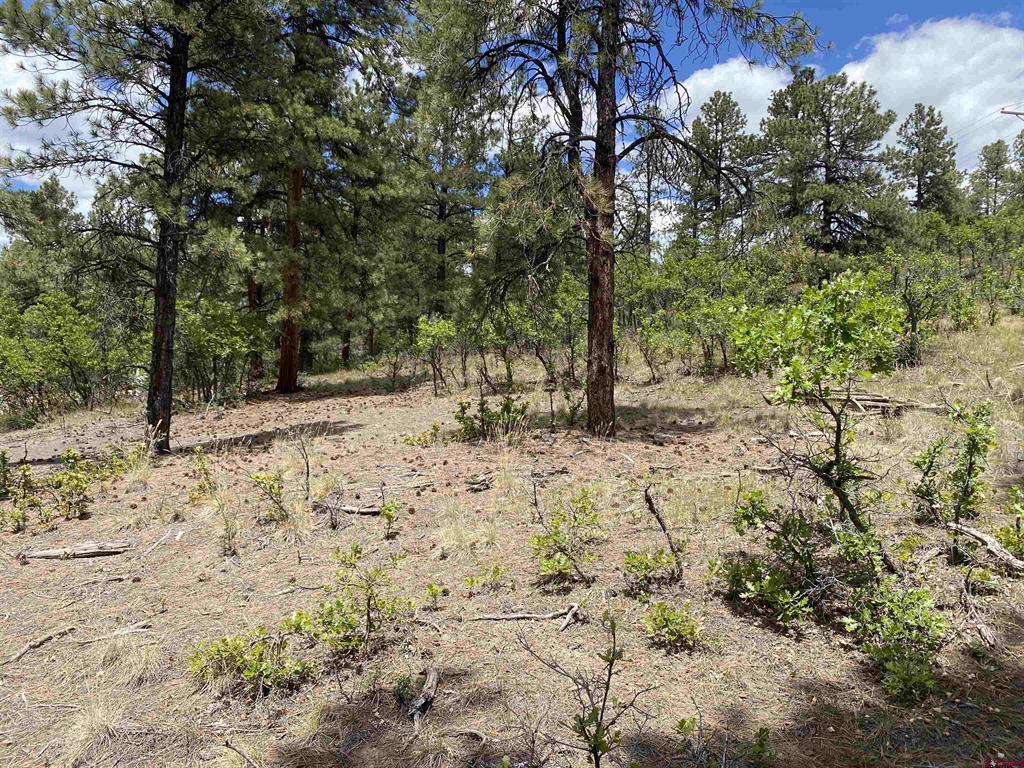 124 Granada Drive Pagosa Springs CO 81147