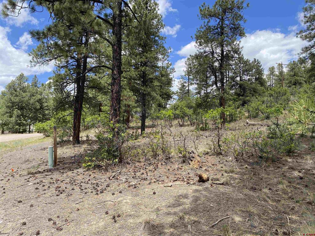 124 Granada Drive Pagosa Springs CO 81147