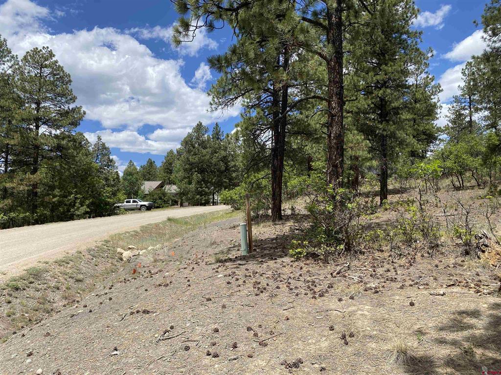 124 Granada Drive Pagosa Springs CO 81147