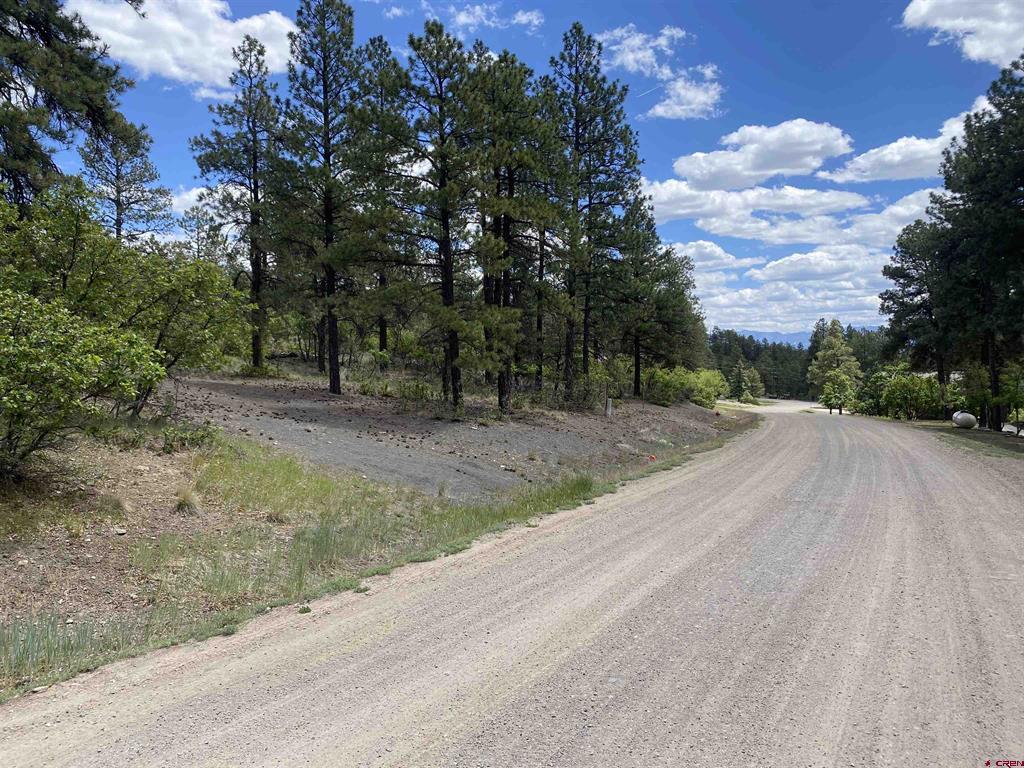 124 Granada Drive Pagosa Springs CO 81147