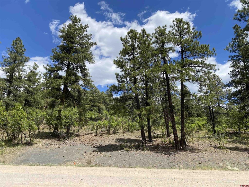 124 Granada Drive Pagosa Springs CO 81147