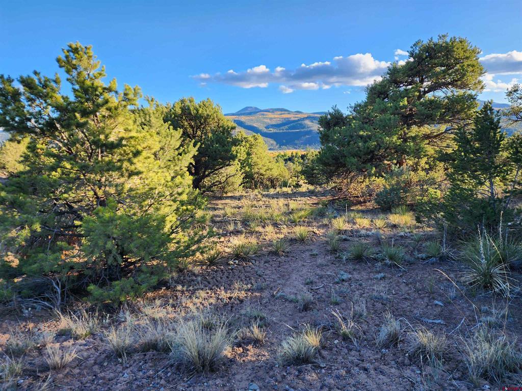 580 Kit Carson Road South Fork CO 81154