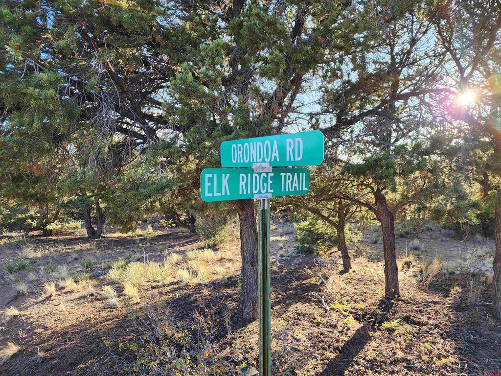 580 Kit Carson Road South Fork CO 81154