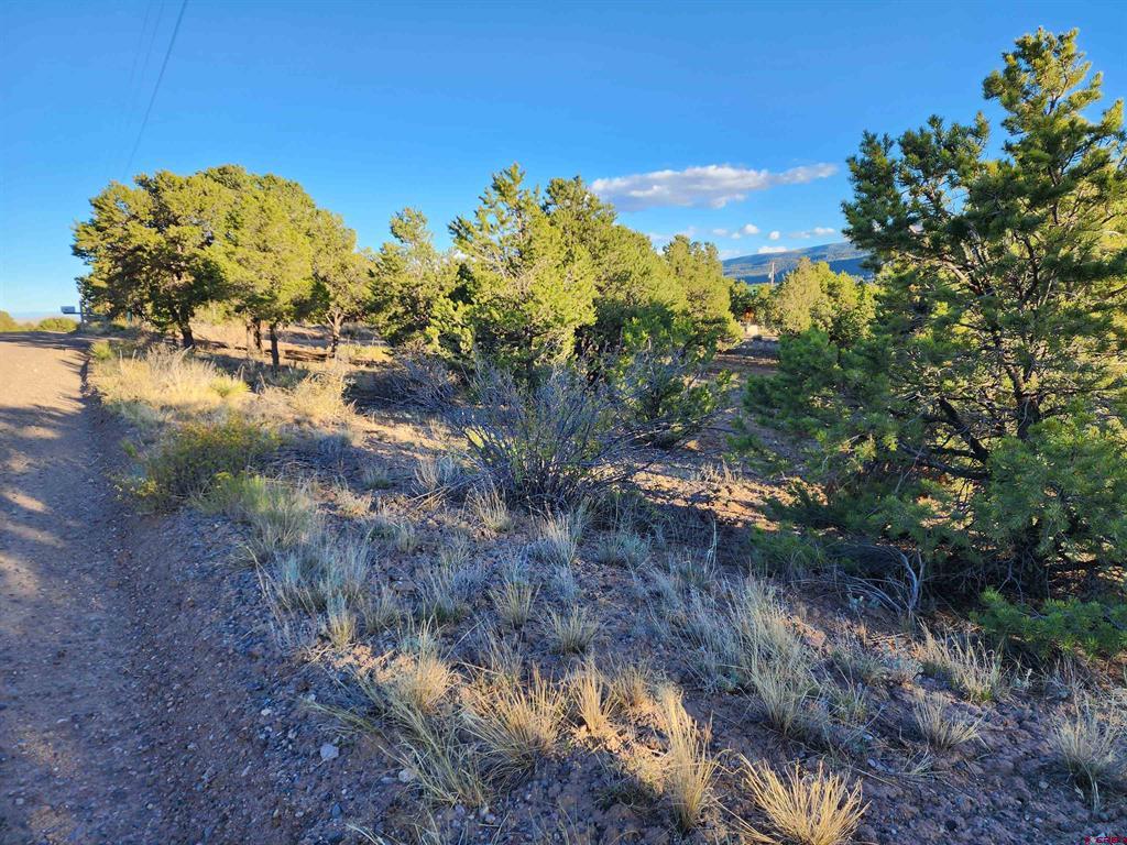 580 Kit Carson Road South Fork CO 81154