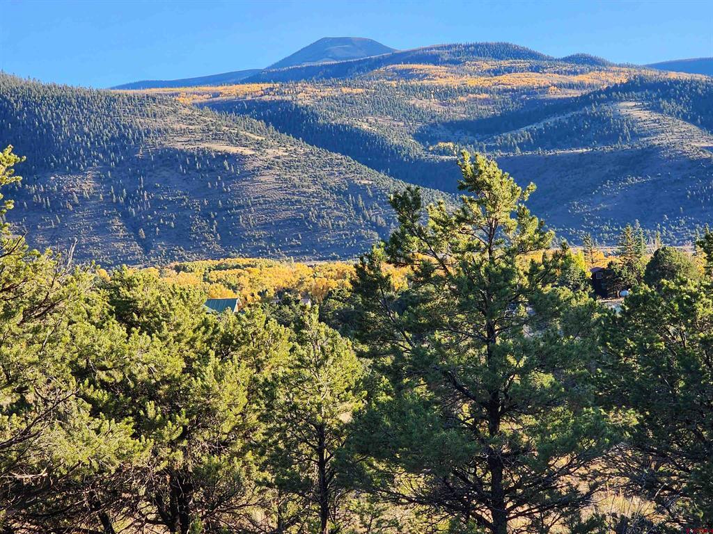580 Kit Carson Road South Fork CO 81154