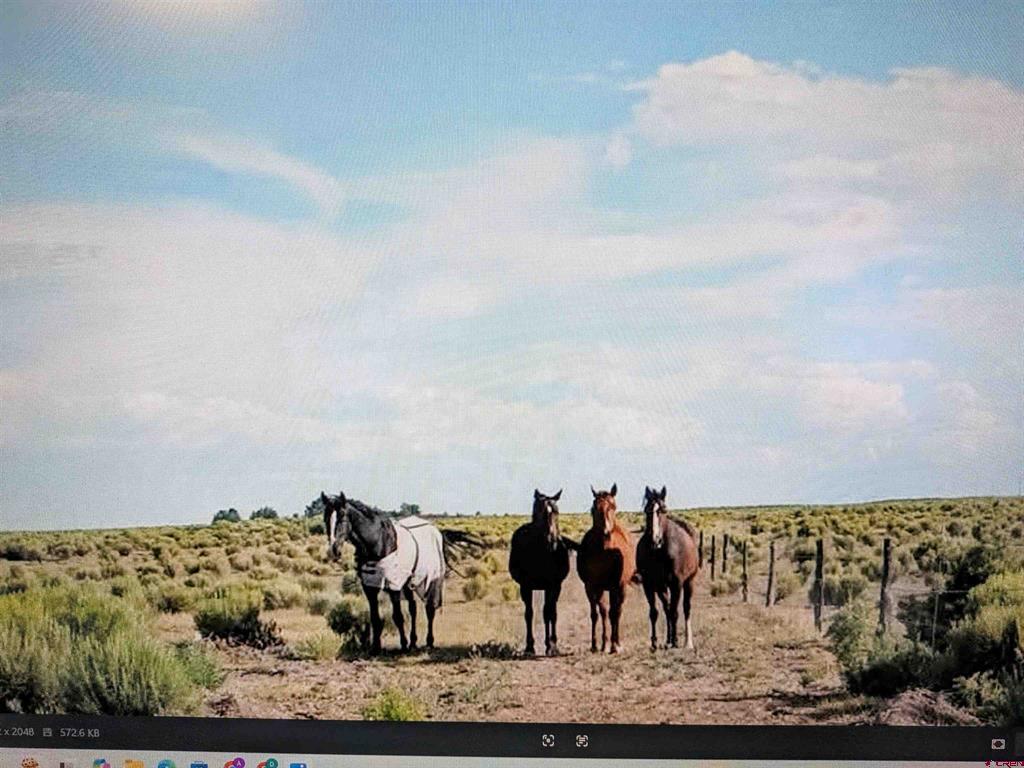 16073 Co Road 55 Road Saguache CO 81149