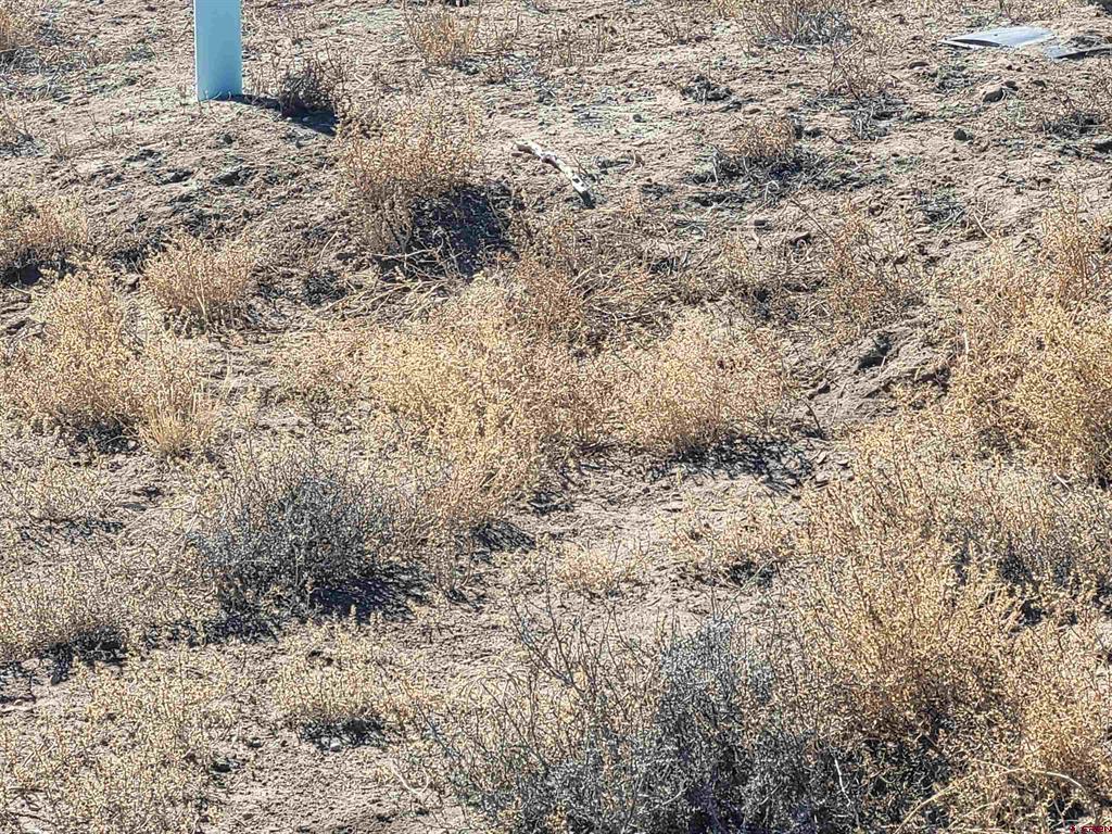 16073 Co Road 55 Road Saguache CO 81149