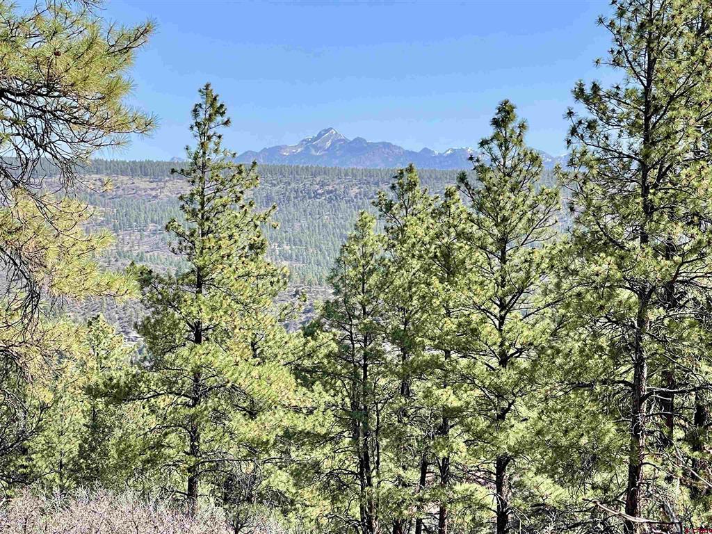 252 Starlight Place Pagosa Springs CO 81147