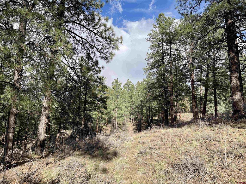 252 Starlight Place Pagosa Springs CO 81147