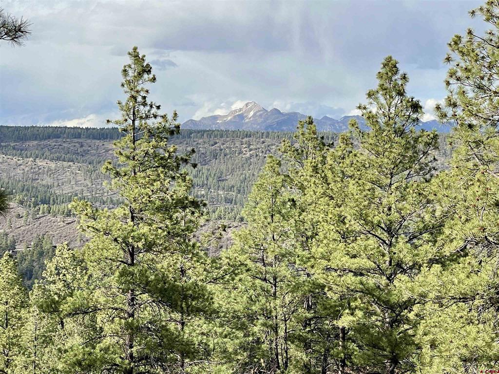 252 Starlight Place Pagosa Springs CO 81147