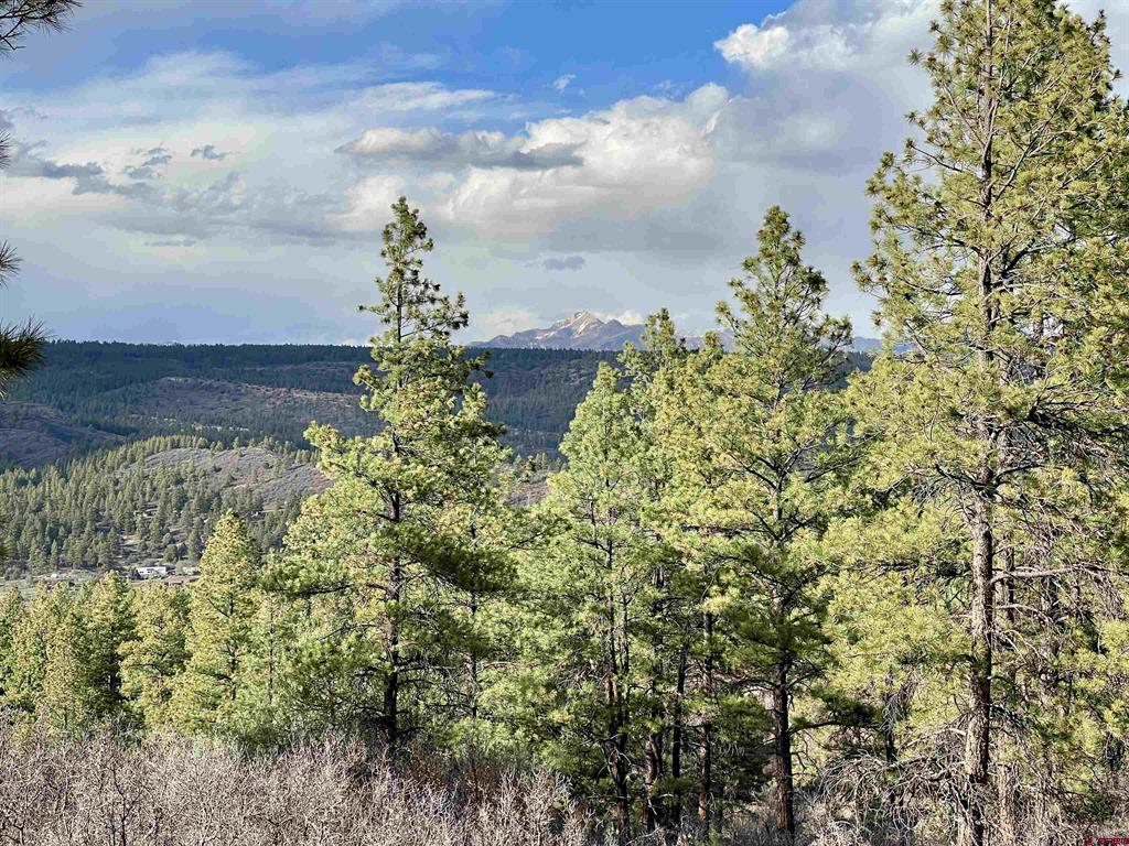 252 Starlight Place Pagosa Springs CO 81147