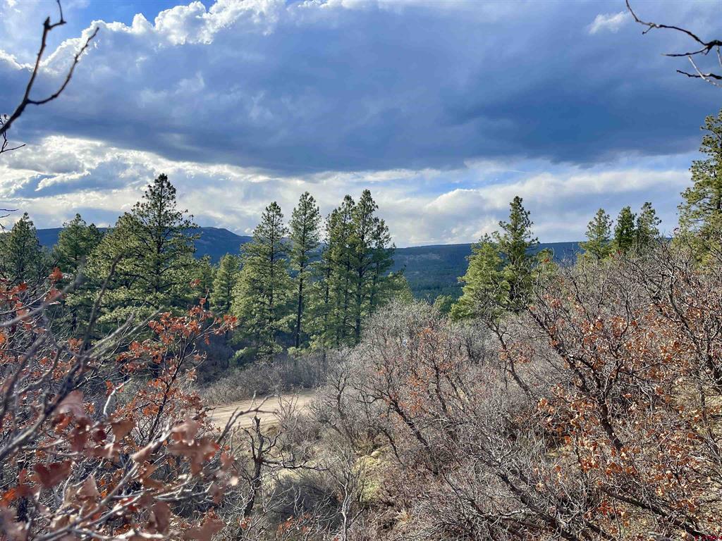 252 Starlight Place Pagosa Springs CO 81147