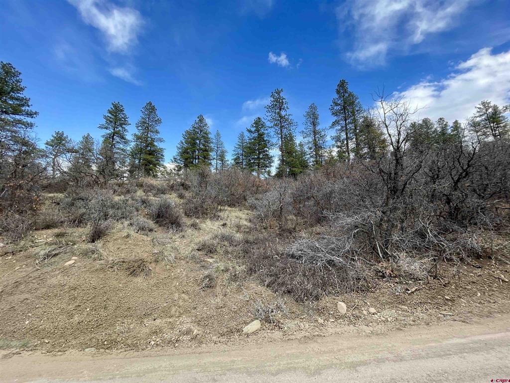 252 Starlight Place Pagosa Springs CO 81147