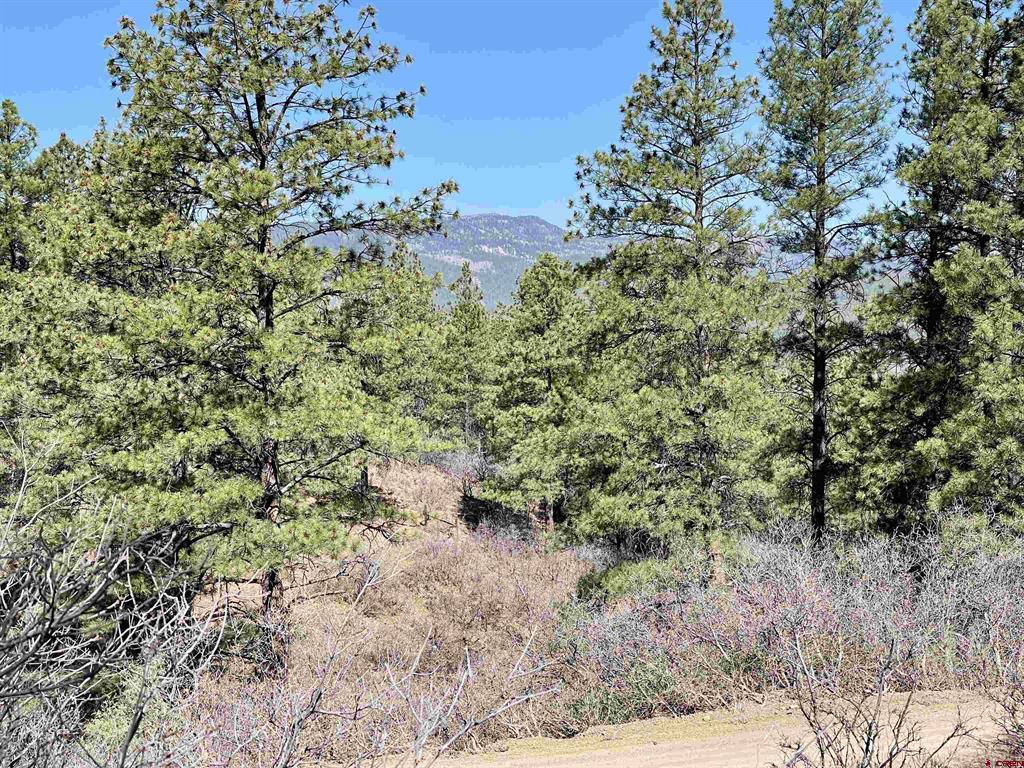 252 Starlight Place Pagosa Springs CO 81147