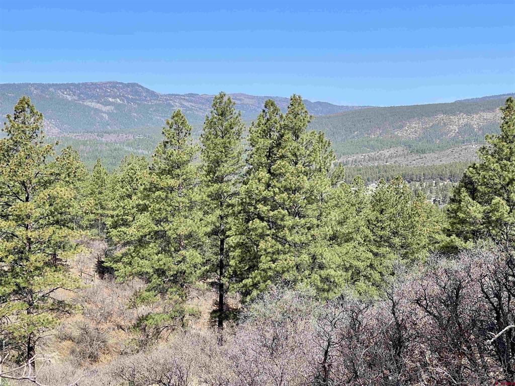 252 Starlight Place Pagosa Springs CO 81147