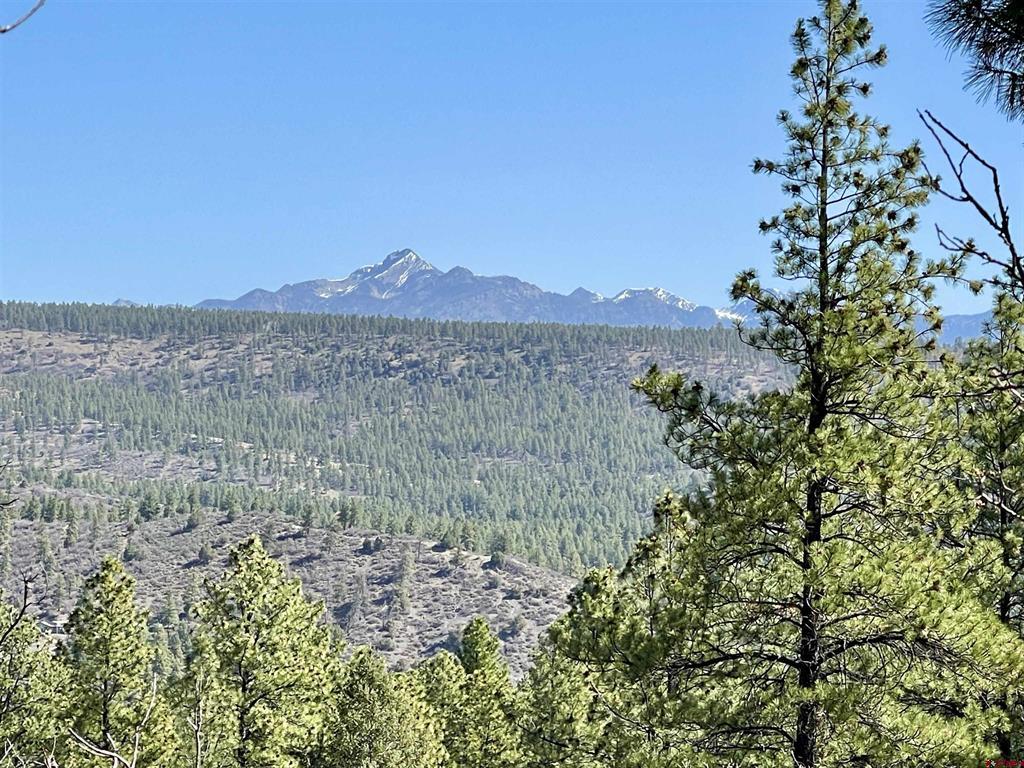 252 Starlight Place Pagosa Springs CO 81147
