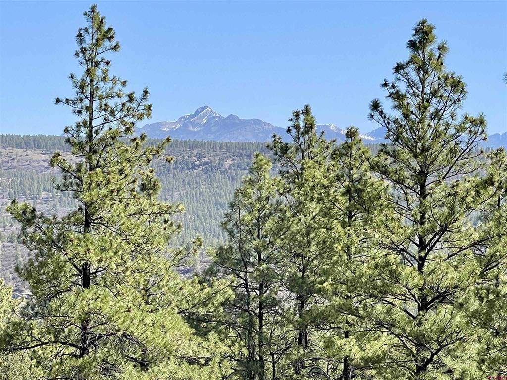 252 Starlight Place Pagosa Springs CO 81147