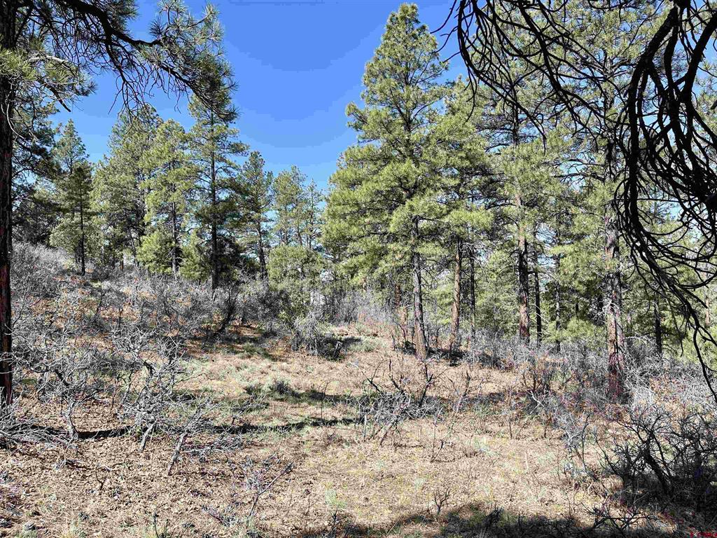 252 Starlight Place Pagosa Springs CO 81147