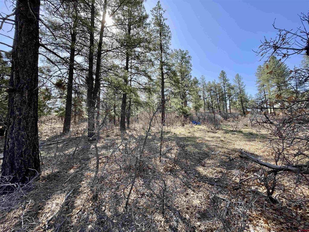 252 Starlight Place Pagosa Springs CO 81147