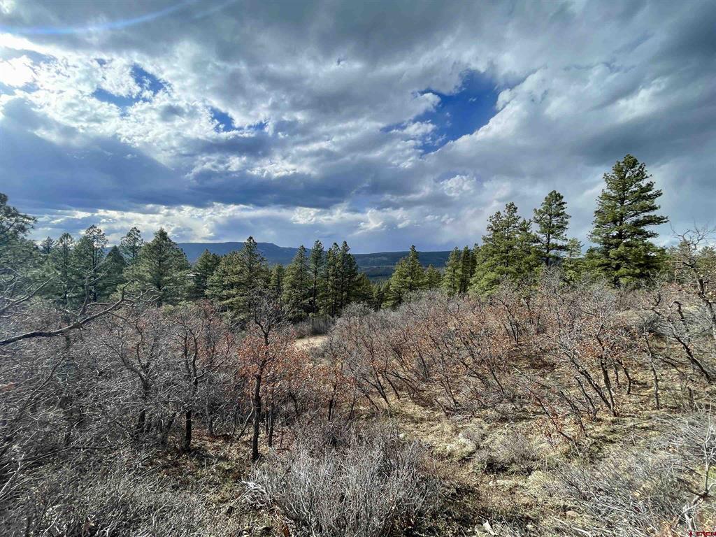 252 Starlight Place Pagosa Springs CO 81147