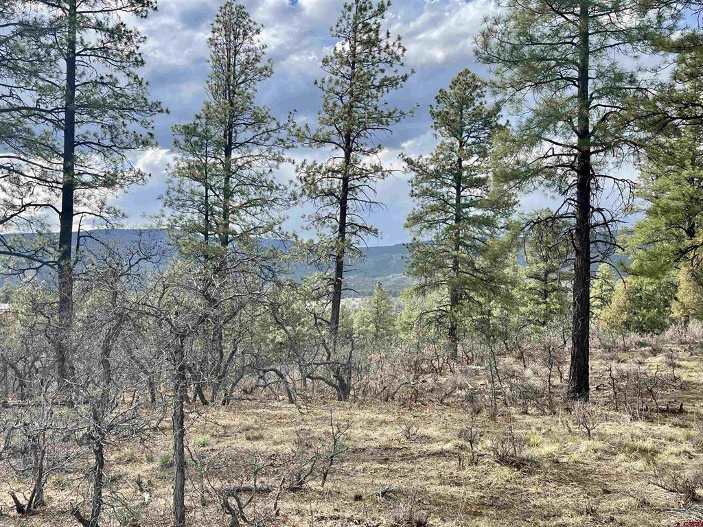 252 Starlight Place Pagosa Springs CO 81147