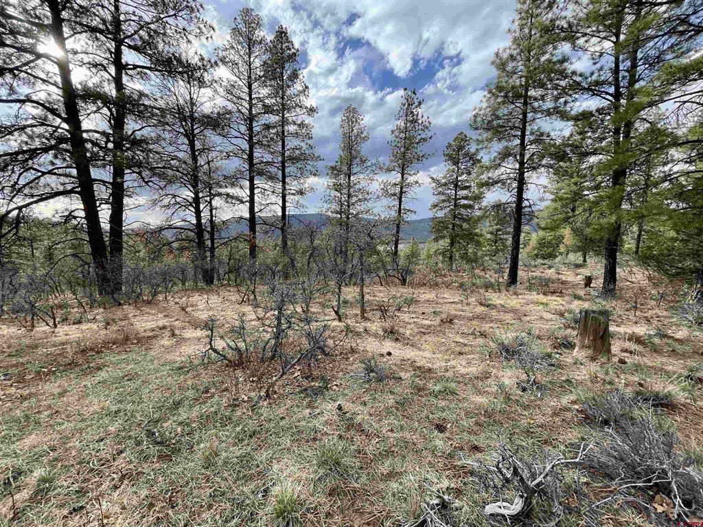 252 Starlight Place Pagosa Springs CO 81147