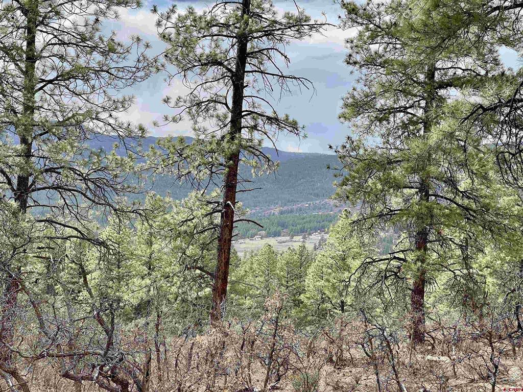 252 Starlight Place Pagosa Springs CO 81147
