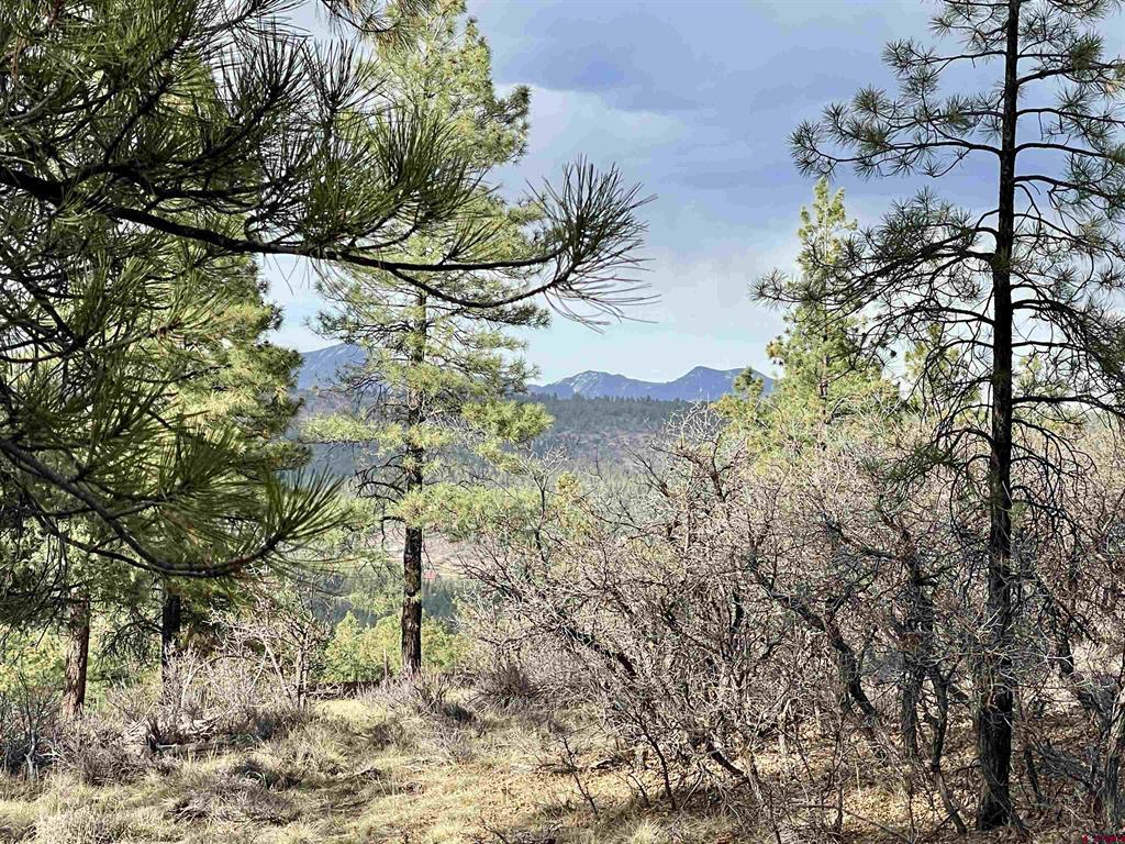252 Starlight Place Pagosa Springs CO 81147