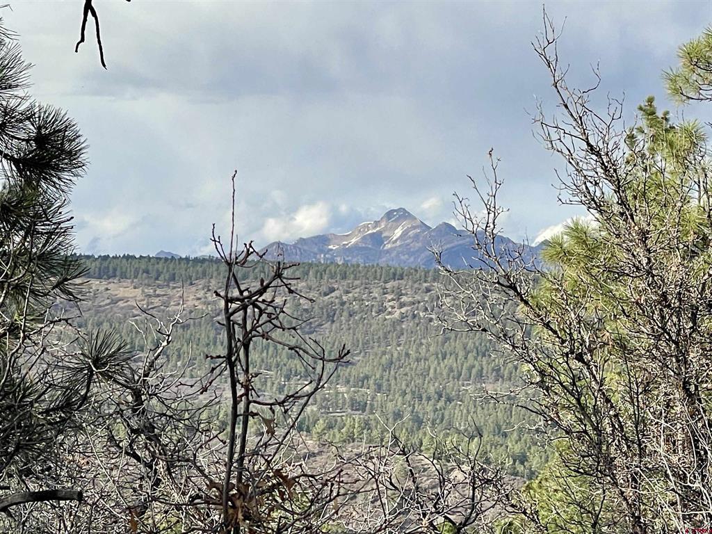 252 Starlight Place Pagosa Springs CO 81147