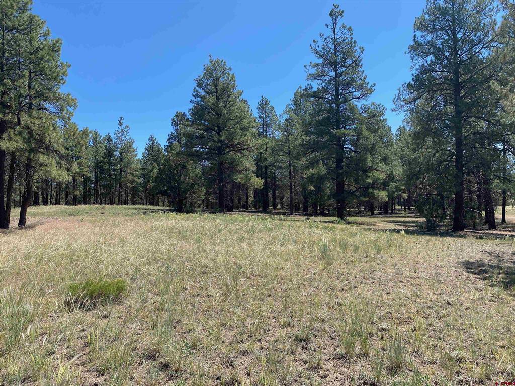 1001 County Road 200 Pagosa Springs CO 81147